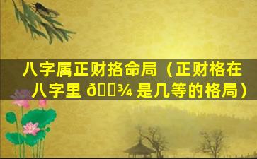 八字属正财挌命局（正财格在八字里 🌾 是几等的格局）